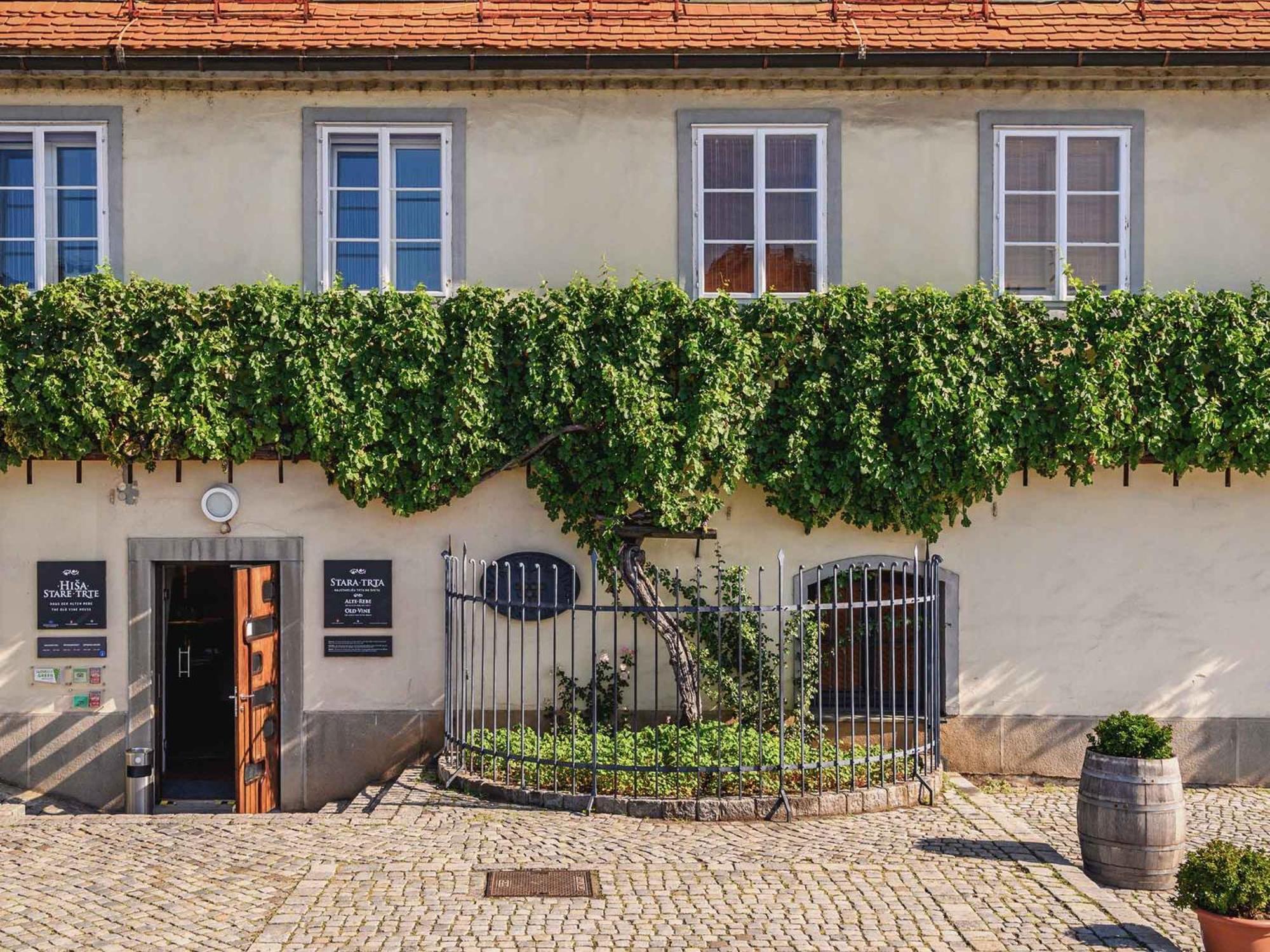 Kavenija Apartmaji - Free Parking Maribor Exterior photo
